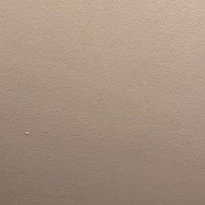 Meet your Posher, Zane